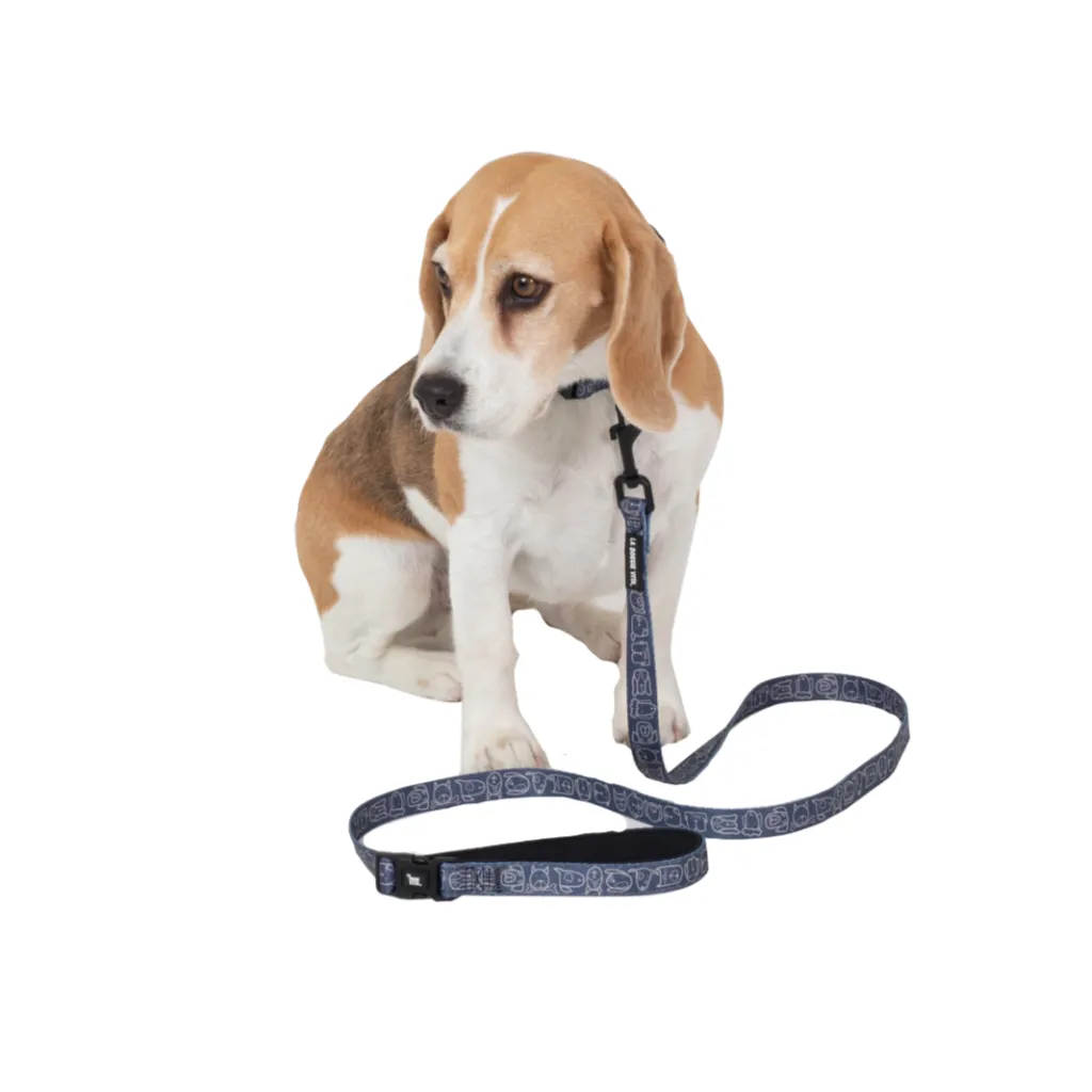 Dog Central Indigo Lead