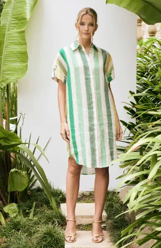 Echo Leo Shirt Dress