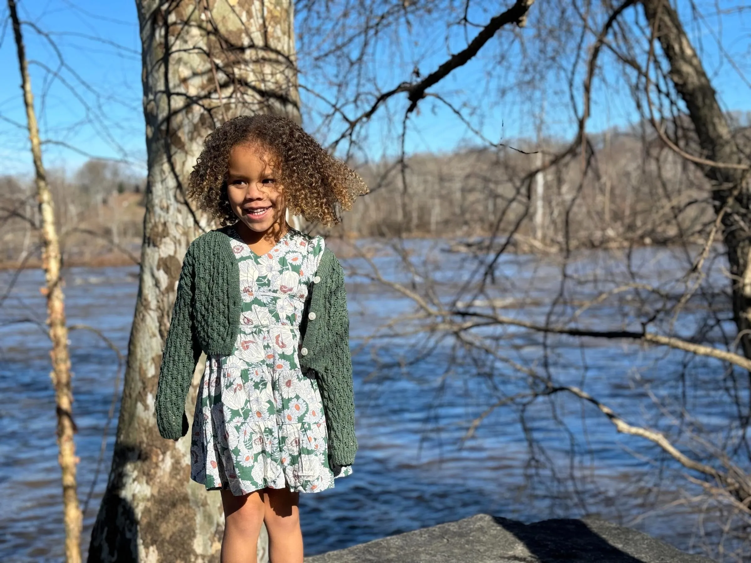 Indigo Dress, Green Floral